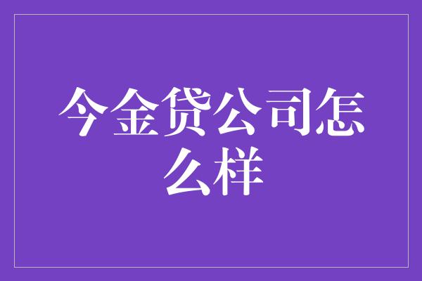 今金贷公司怎么样