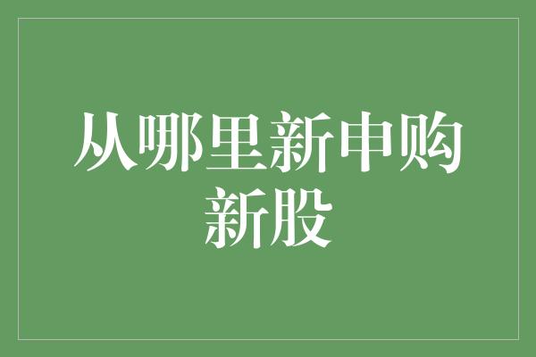 从哪里新申购新股