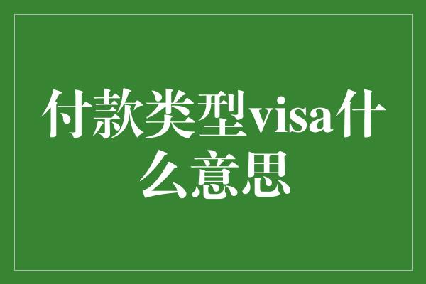 付款类型visa什么意思