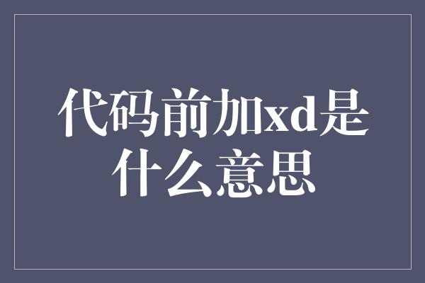 代码前加xd是什么意思