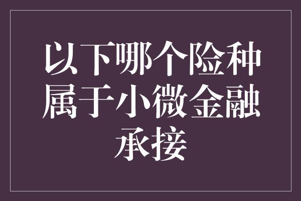 以下哪个险种属于小微金融承接