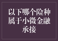 小微金融的保险技巧：看看这个行业如何在险象环生中稳操胜券？