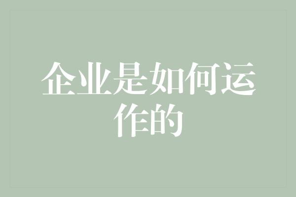 企业是如何运作的