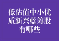 低估值中小优质新兴蓝筹股的投资指南