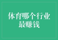 中国体育行业中最赚钱的细分领域分析