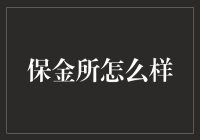 保金所如何为小微企业提供融资支持：创新模式解析与风险控制分析