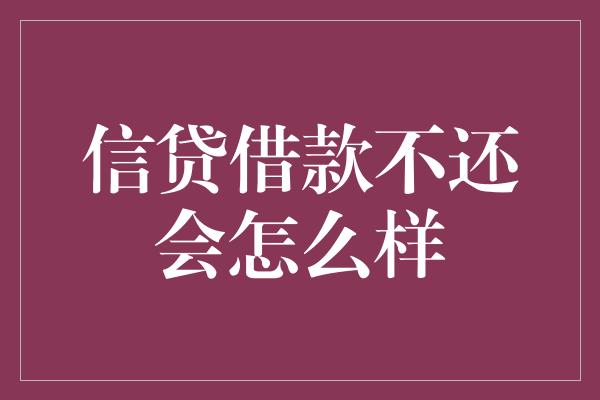 信贷借款不还会怎么样