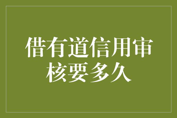 借有道信用审核要多久