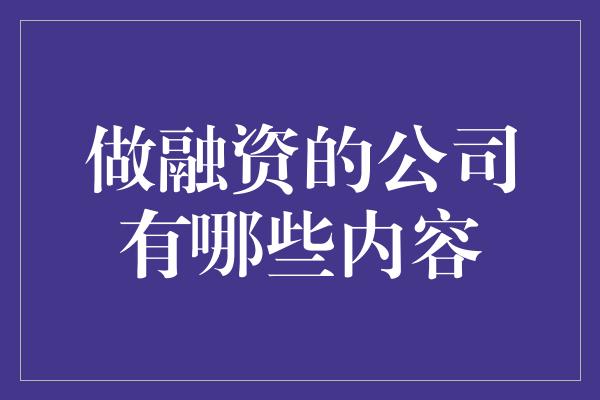 做融资的公司有哪些内容