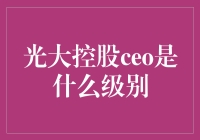 光大控股CEO的级别究竟如何？