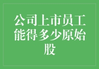 公司上市员工原始股分配策略及收益解析