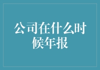 年报发布：公司在关键时刻的财务报告