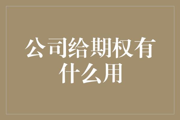 公司给期权有什么用