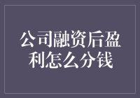 公司融资后的收益分配方法