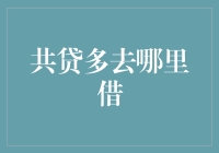 共贷多去哪里借：深度解析共贷产品的市场格局与风险控制