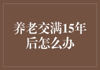 养老保险交满15年后的多样化选择：智慧养老策略解析