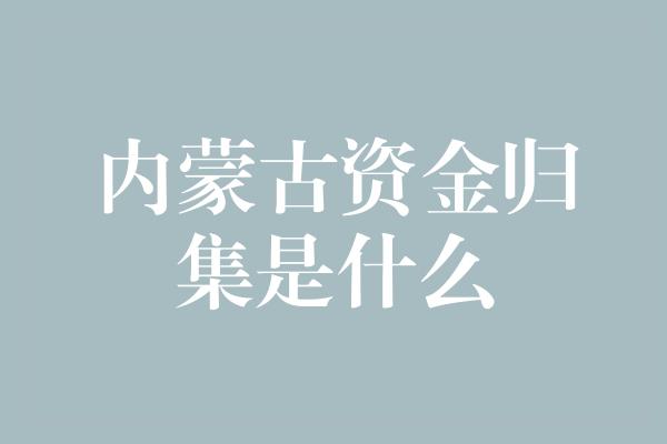 内蒙古资金归集是什么