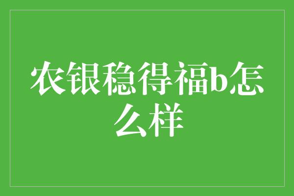 农银稳得福b怎么样