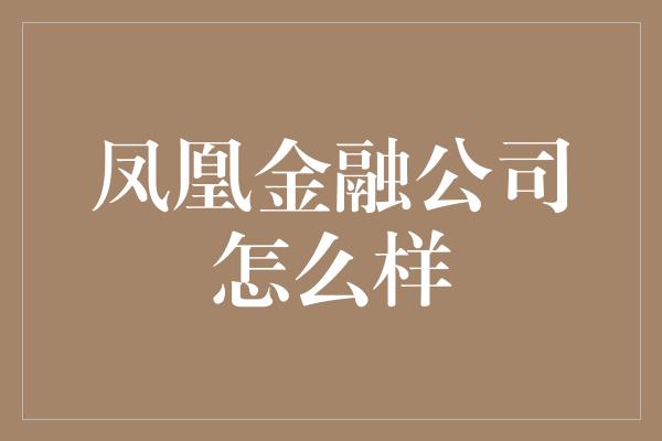 凤凰金融公司怎么样