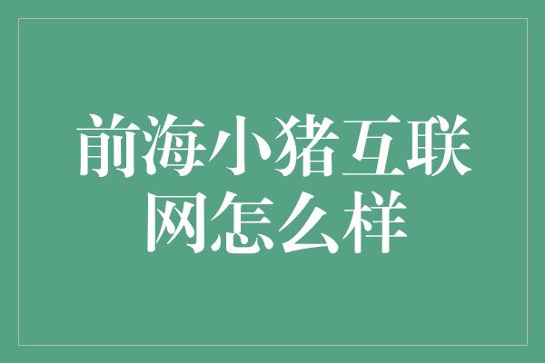 前海小猪互联网怎么样