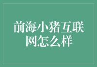 前海小猪互联网：互联网界的小猪佩奇靠什么成为网红？