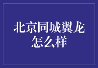 北京同城翼龙贷款服务：全面解析其优势与挑战