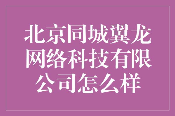 北京同城翼龙网络科技有限公司怎么样