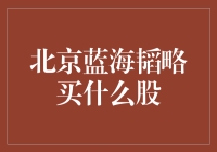 北京蓝海韬略：把握科技与金融的双重机遇