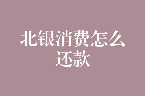 北银消费怎么还款