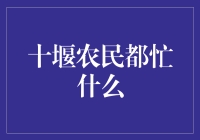 十堰农村经济振兴：农民们的忙碌身影