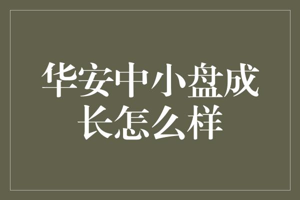 华安中小盘成长怎么样