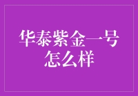 华泰紫金一号：深度解析与投资建议