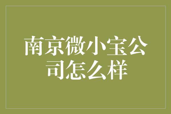 南京微小宝公司怎么样