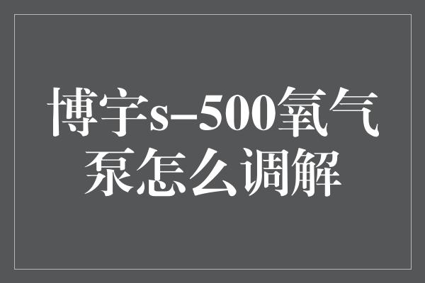 博宇s-500氧气泵怎么调解