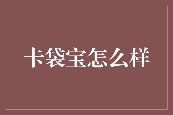 卡袋宝怎么样