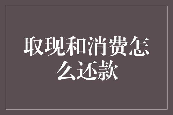 取现和消费怎么还款