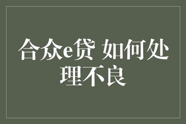 合众e贷 如何处理不良