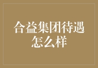 合益集团待遇解析：全面解读企业福利