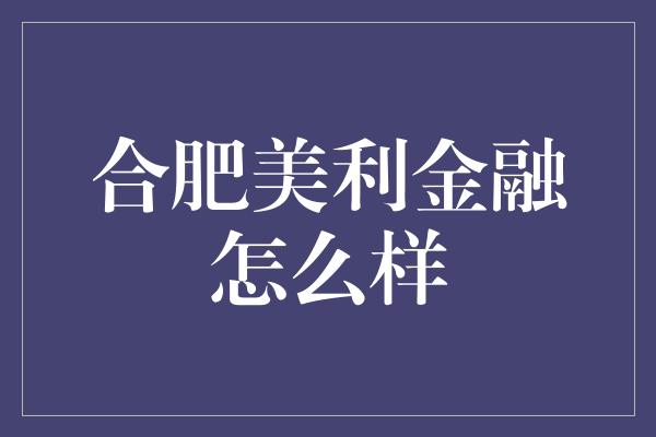 合肥美利金融怎么样