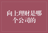 上向理财：投资者的新型理财选择