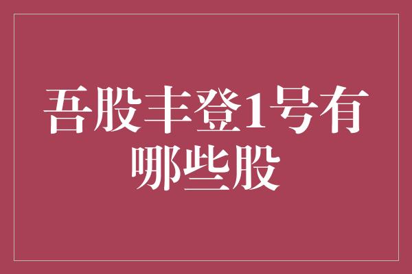 吾股丰登1号有哪些股