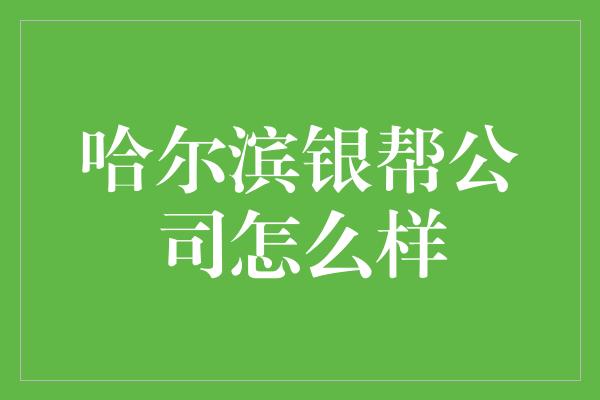 哈尔滨银帮公司怎么样