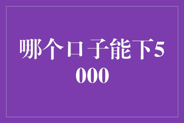 哪个口子能下5000