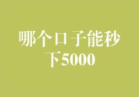 哪个口子能秒下5000？揭秘高效贷款途径