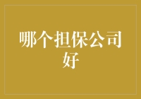 优质担保公司挑选指南：寻找最适合您的金融伙伴