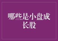 小盘成长股：潜力与风险并存的投资选择