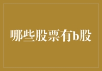 从投资视角解析：哪些股票有B股及其投资价值分析