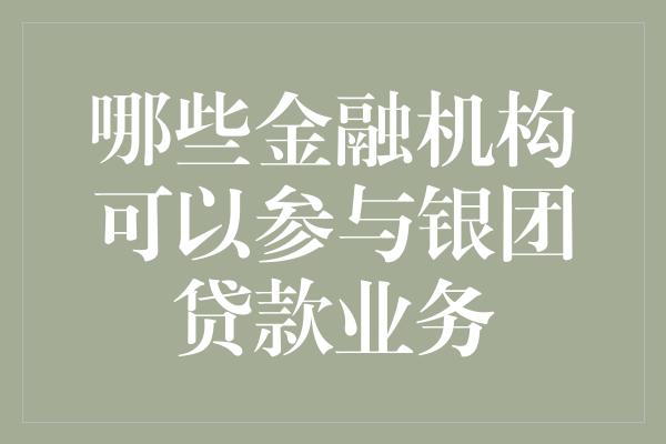 哪些金融机构可以参与银团贷款业务