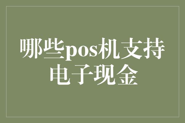 哪些pos机支持电子现金