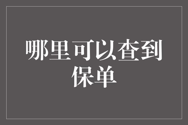 哪里可以查到保单